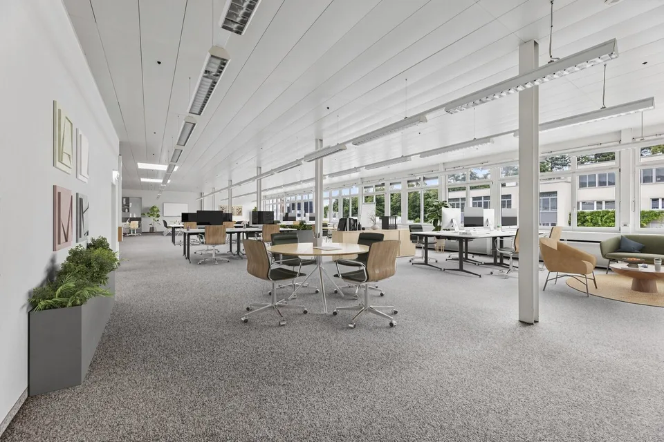 Espace commercial lumineux et flexible à Muri