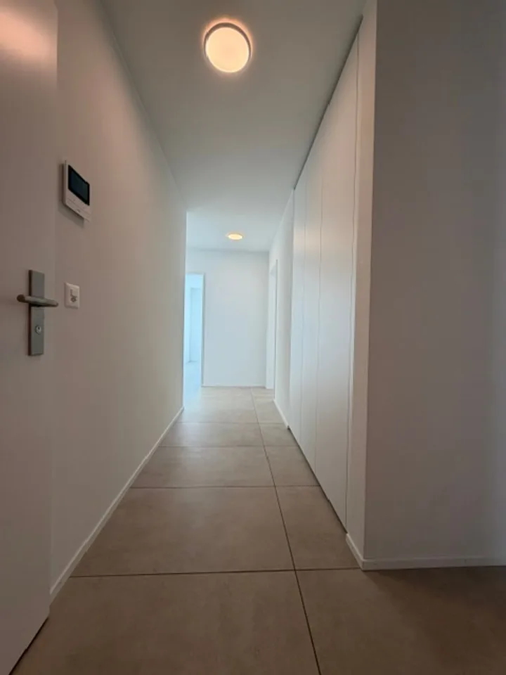 Modern, nearly new 4.5-room apartment for rent in Therwil