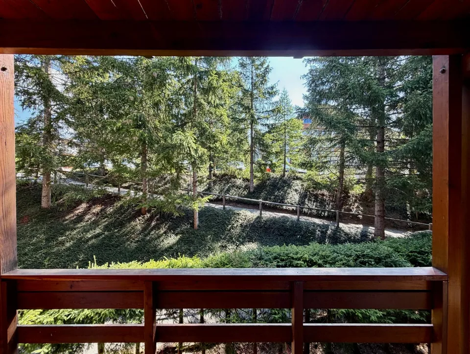 Furnished 2.5-room apartment