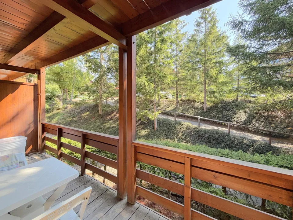 Furnished 2.5-room apartment