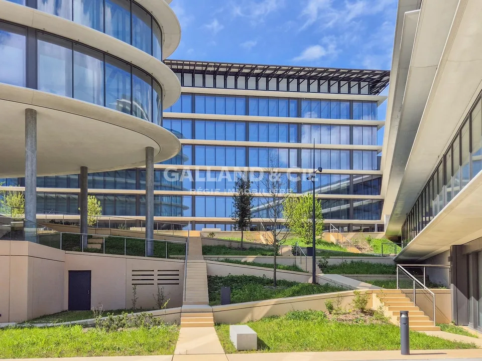 61m2 Business