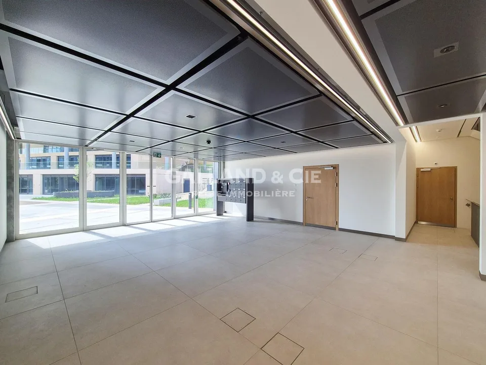 61m2 Business
