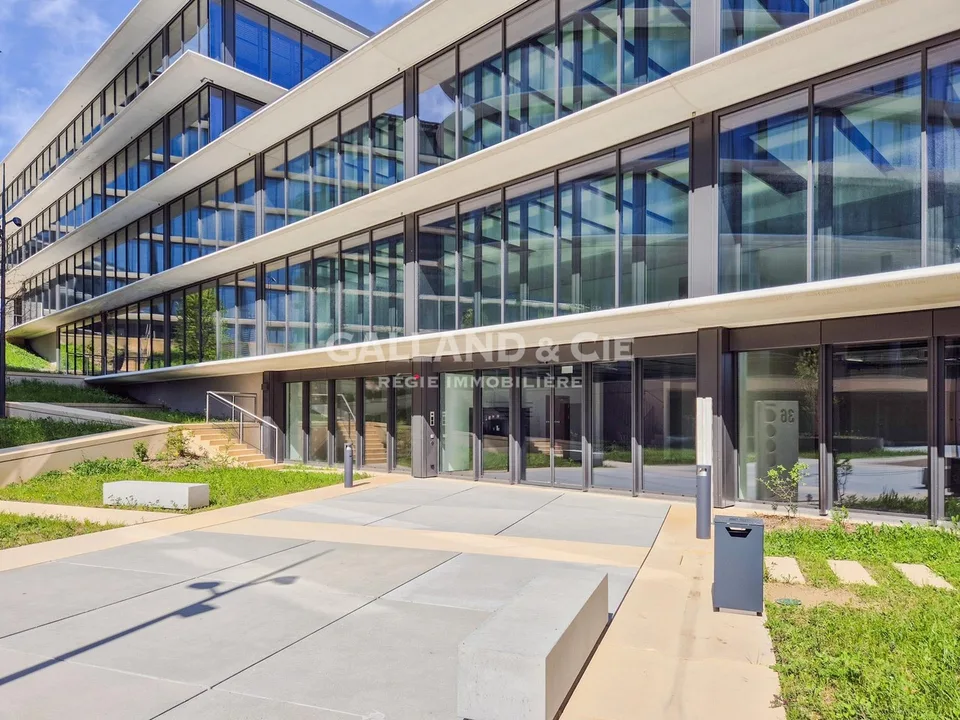 61m2 Business