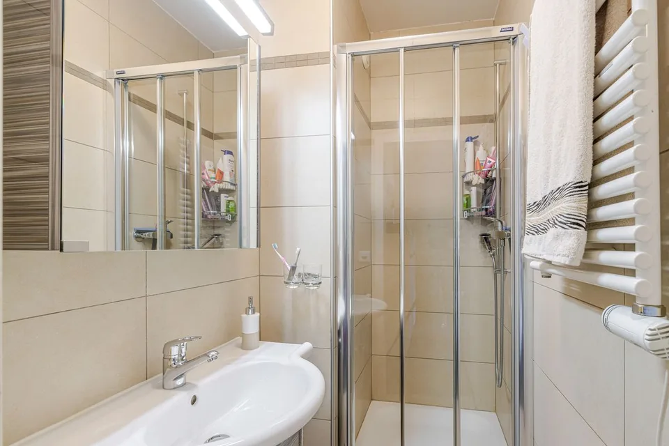 Ampio appartamento di 5 stanze con terrazza e box chiuso a Chêne-Bougeries – foto 11 di 12