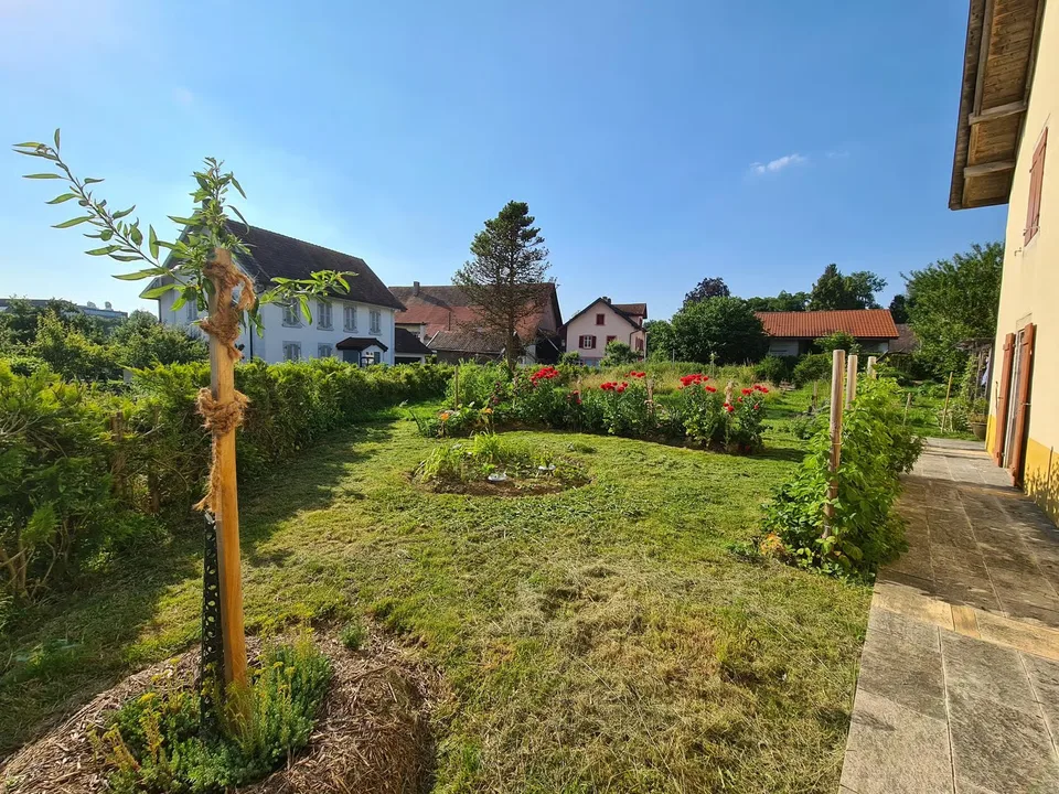 Geräumiges Haus mit Garten, Garage, Scheune – Foto 7 von 30