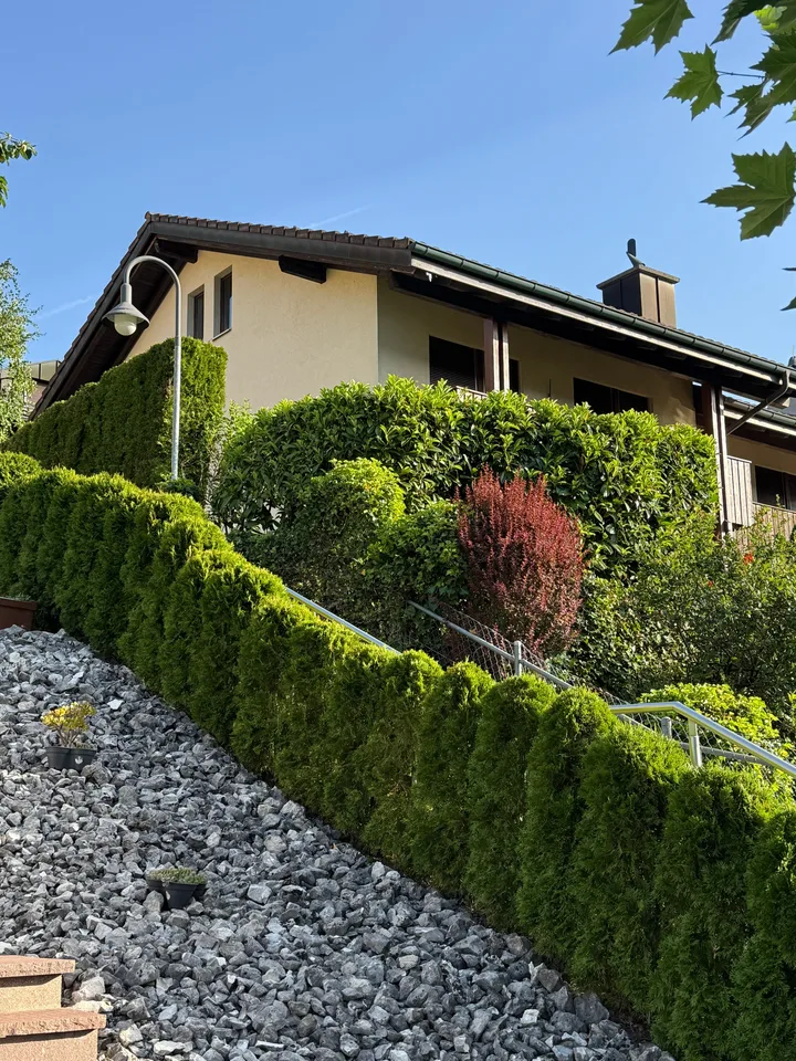 5.5-Zimmer-Reiheneckhaus mit Garten in Adligenswil mieten