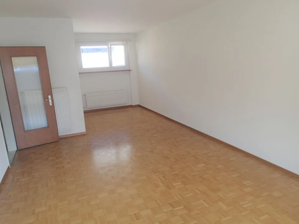 Nous louons un appartement de 3,5 pièces à Minusio
