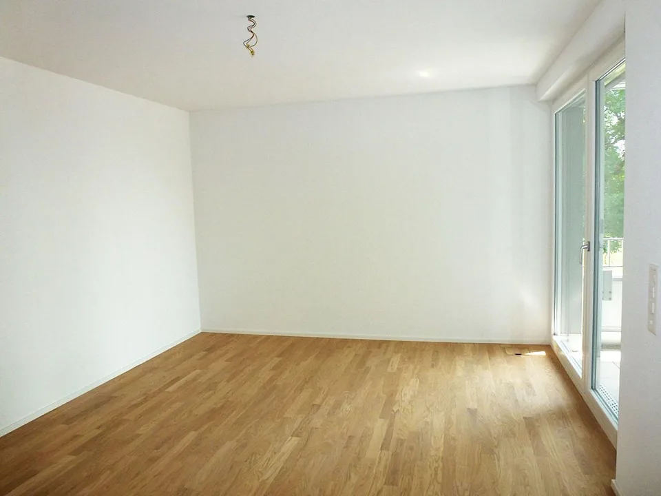 Bellissimo appartamento a Höngg