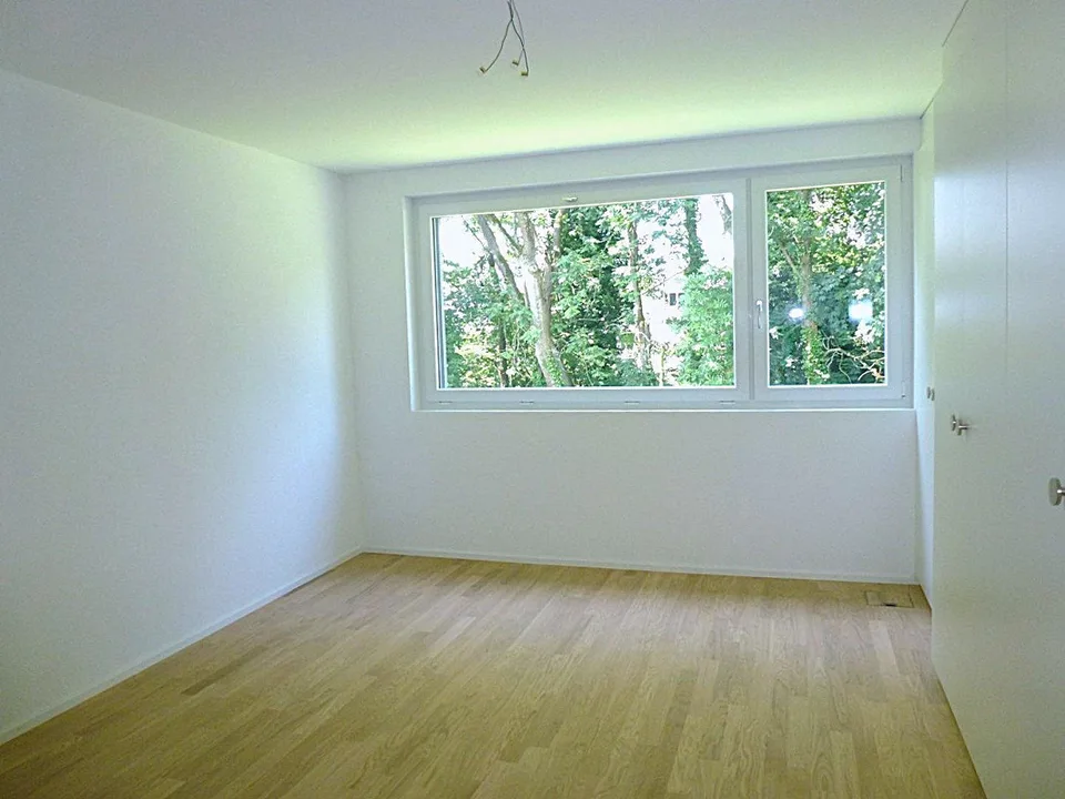 Bellissimo appartamento a Höngg