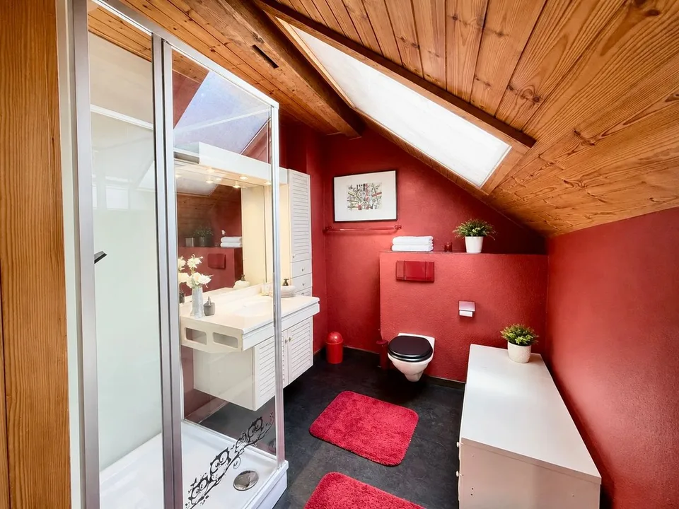 Charming Spacious Duplex in the Heart of St-Maurice