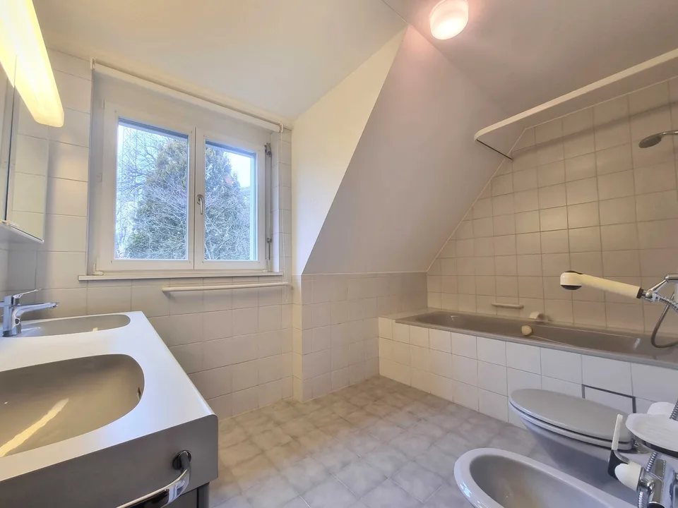 Villa di 10 locali con vista sulla montagna e serra in Riehen in vendita