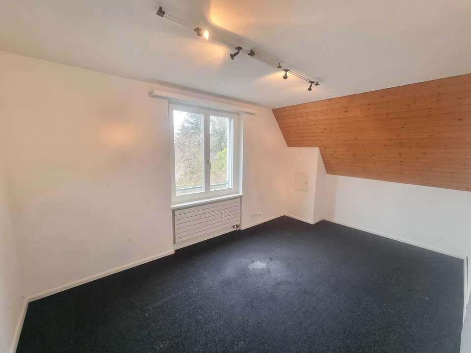 Villa di 10 locali con vista sulla montagna e serra in Riehen in vendita