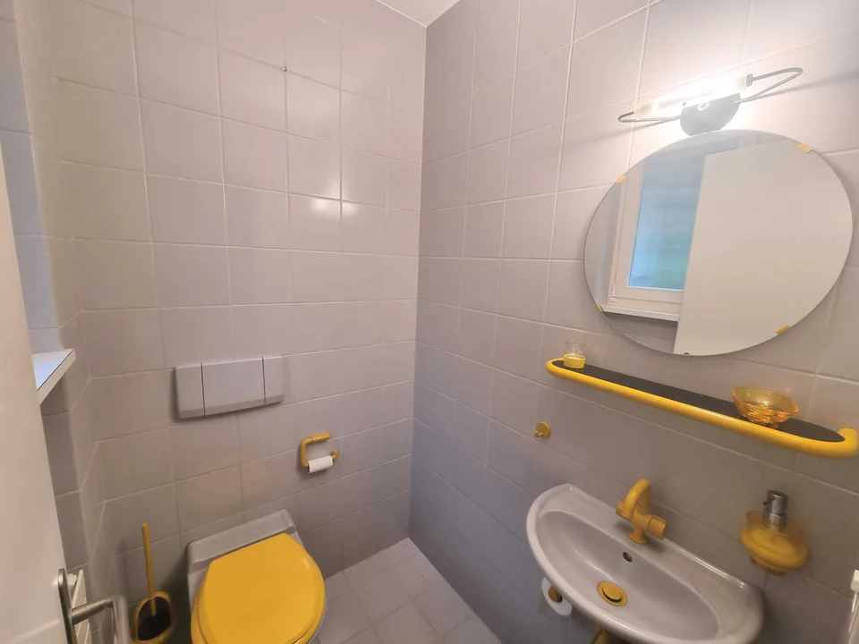Villa di 10 locali con vista sulla montagna e serra in Riehen in vendita