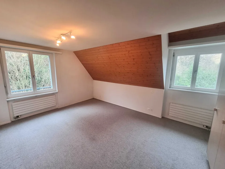 Villa di 10 locali con vista sulla montagna e serra in Riehen in vendita