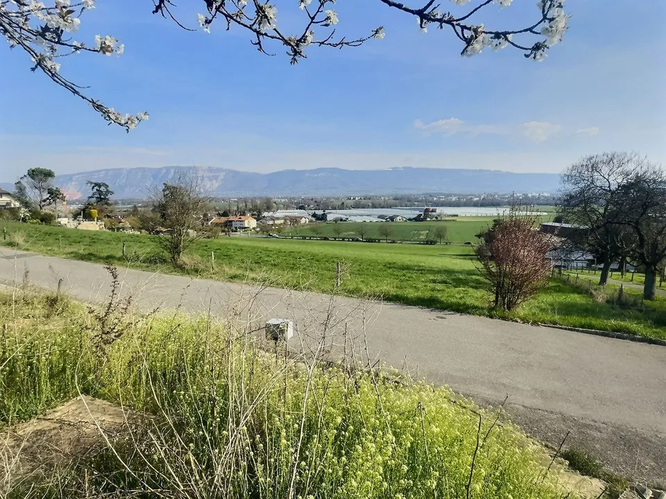 Eingerichteter Gartenhaus mit Grundstück für Naturliebhaber