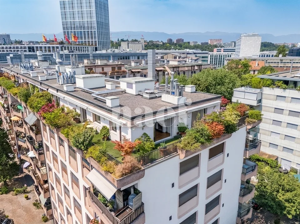 Beautiful attic with terrace in the heart of Carouge