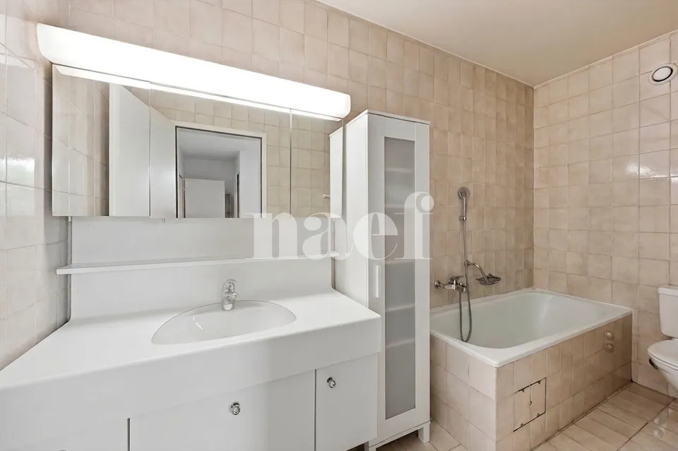 Beautiful attic with terrace in the heart of Carouge
