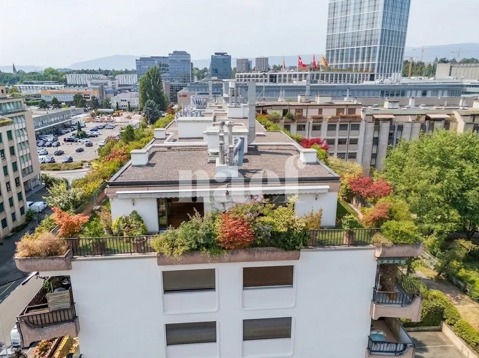 Beautiful attic with terrace in the heart of Carouge