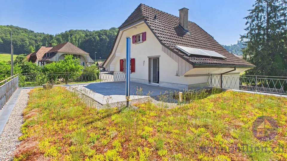 Maison sur grand terrain (1112m2) et garage XXL