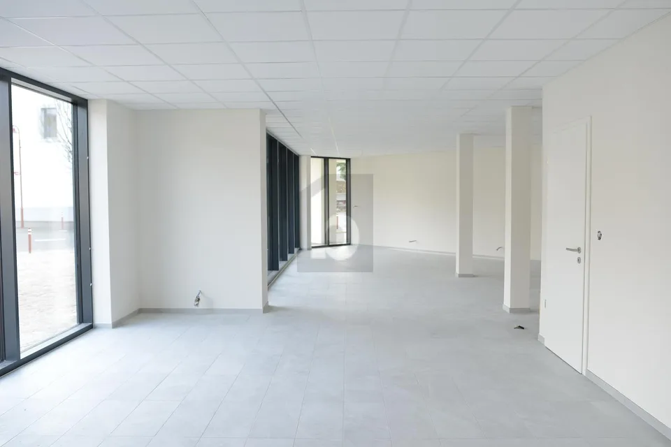 BRIGHT AND MODERN SURFACE