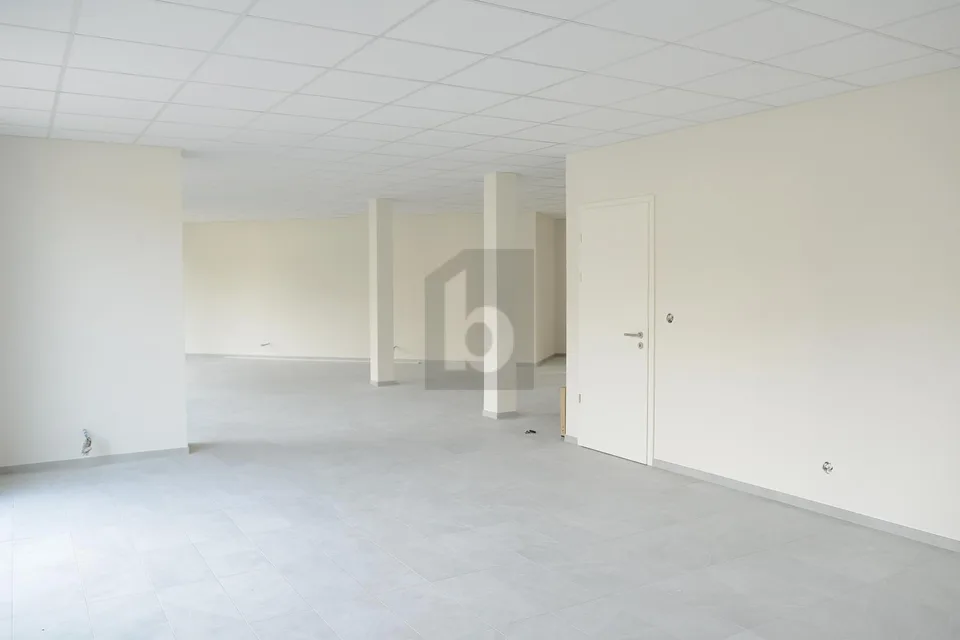 BRIGHT AND MODERN SURFACE