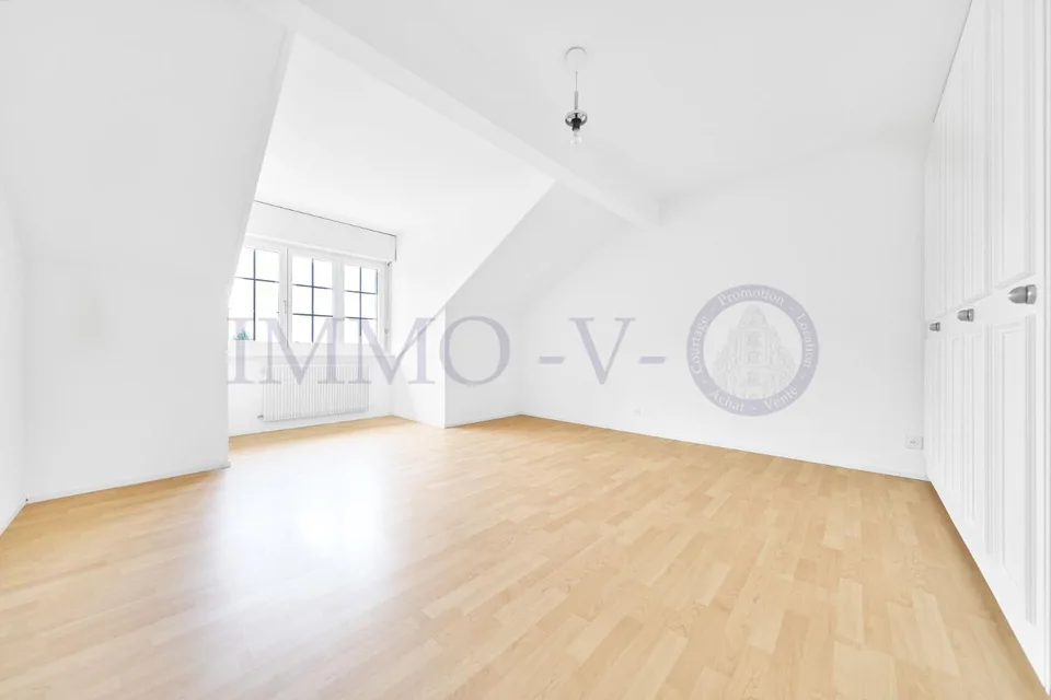 SPACIEUX ATTIQUE RENOVE AVEC CACHET AVEC BALCON-TERASSE VUE LAC
