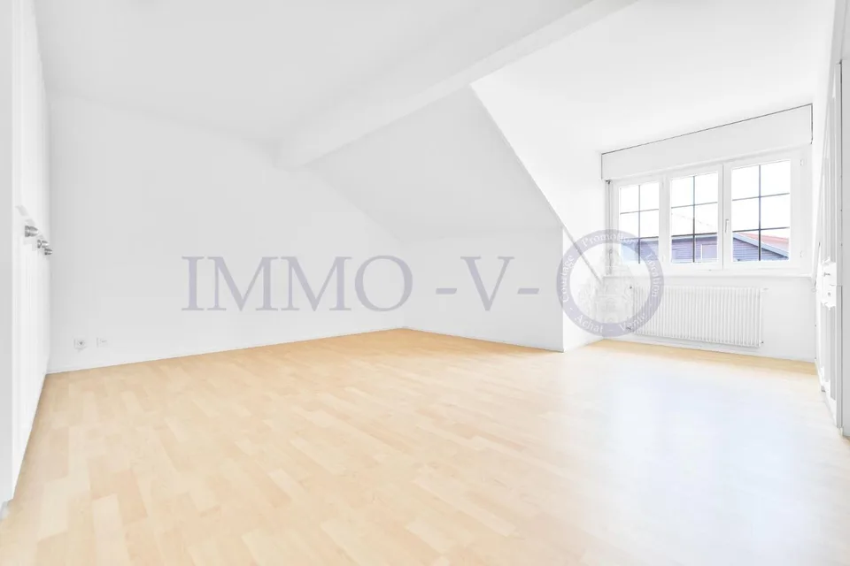 SPACIEUX ATTIQUE RENOVE AVEC CACHET AVEC BALCON-TERASSE VUE LAC