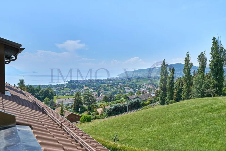 SPACIEUX ATTIQUE RENOVE AVEC CACHET AVEC BALCON-TERASSE VUE LAC