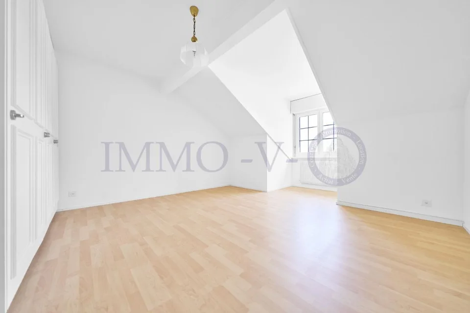 SPACIEUX ATTIQUE RENOVE AVEC CACHET AVEC BALCON-TERASSE VUE LAC