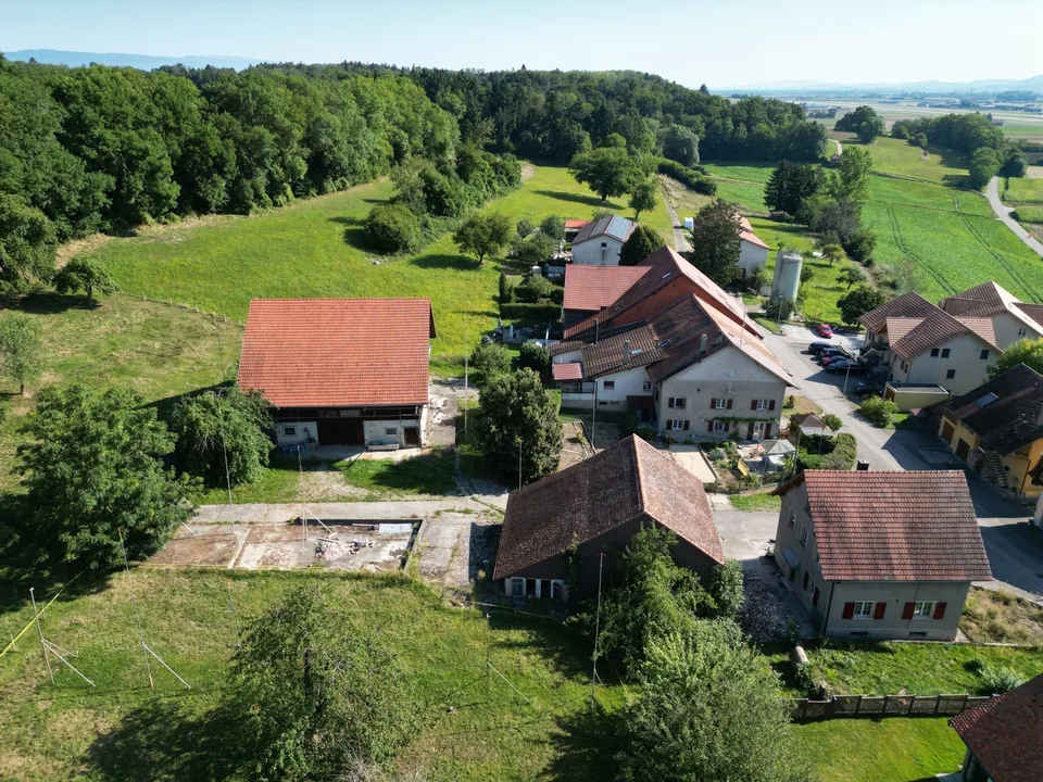 Appartement mit 2.5 Zimmern im Dachgeschoss (B.4)