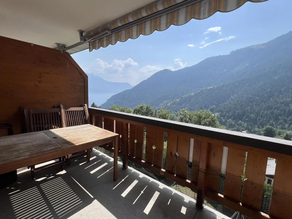 Appartement 2.5 pièces avec vue