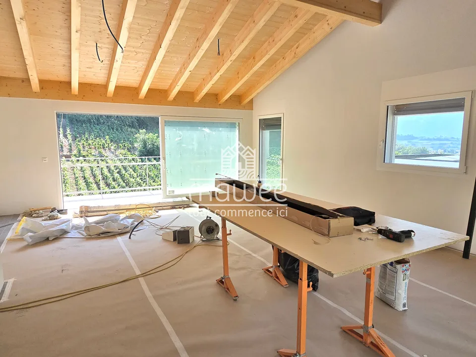 Attique neuf haut de gamme - Résidence intimiste de 2 lots