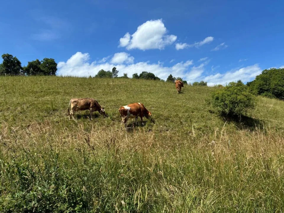 Plus de qualité de vie près de Zurich - calme, moderne et proche de la nature