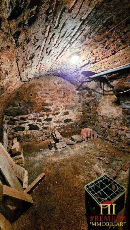 Maison tessinoise au cœur de Sonvico