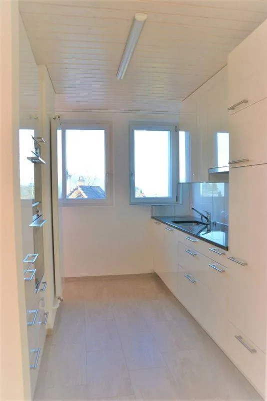 Zu vermieten 3 Zi.-Dachwohnung an der Wylandstr. 3a in Winterthur