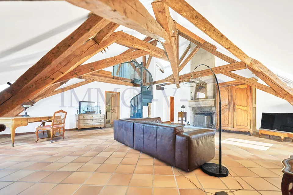 SPACIEUX AVEC CACHET ET EMPLACEMENT IDEAL - MEUBLE