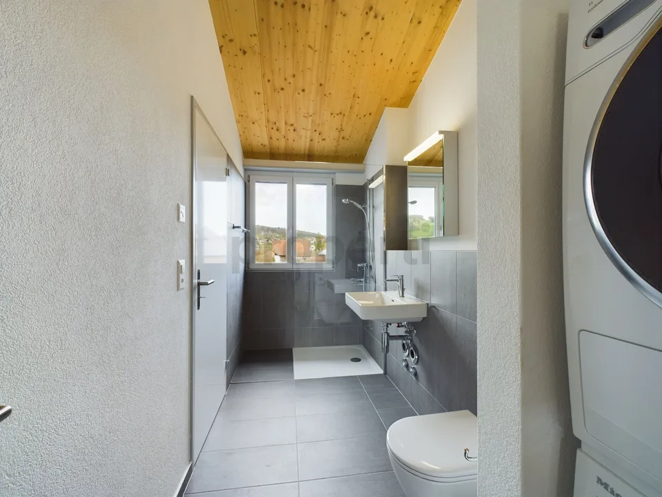 Exklusive 6.5-Zimmer-Dachwohnung mit Dachterrasse in Neftenbach