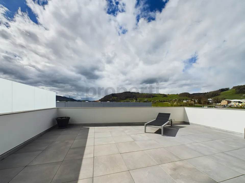 Exklusive 6.5-Zimmer-Dachwohnung mit Dachterrasse in Neftenbach