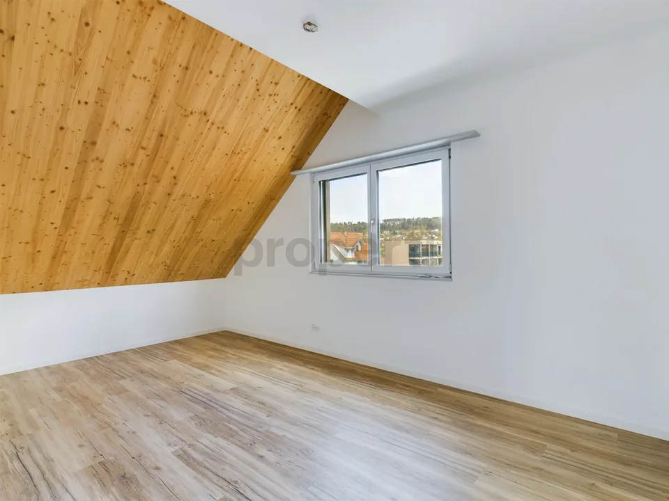 Exklusive 6.5-Zimmer-Dachwohnung mit Dachterrasse in Neftenbach