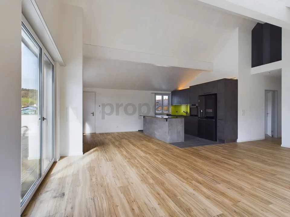 Exklusive 6.5-Zimmer-Dachwohnung mit Dachterrasse in Neftenbach