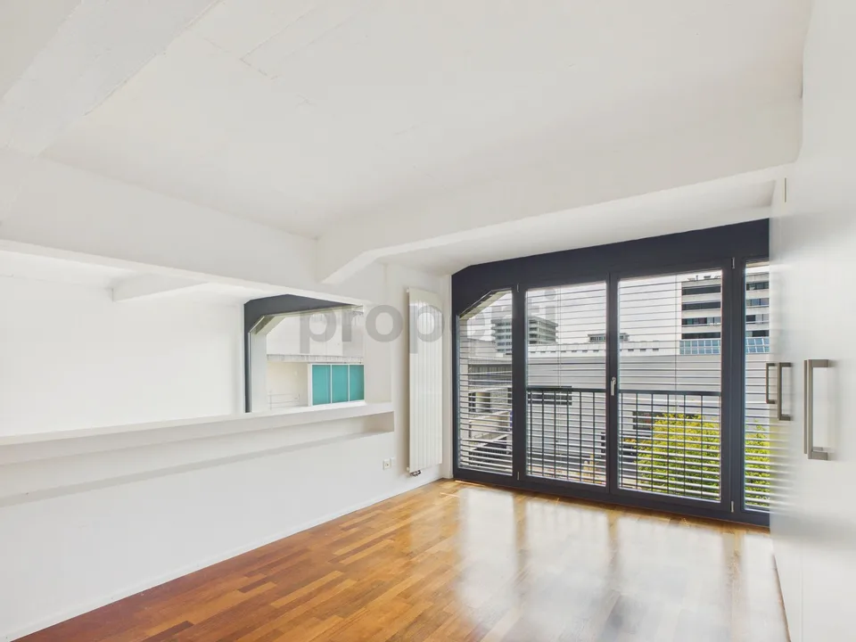 Loft ambiance, bright rooms, and renovation 2022