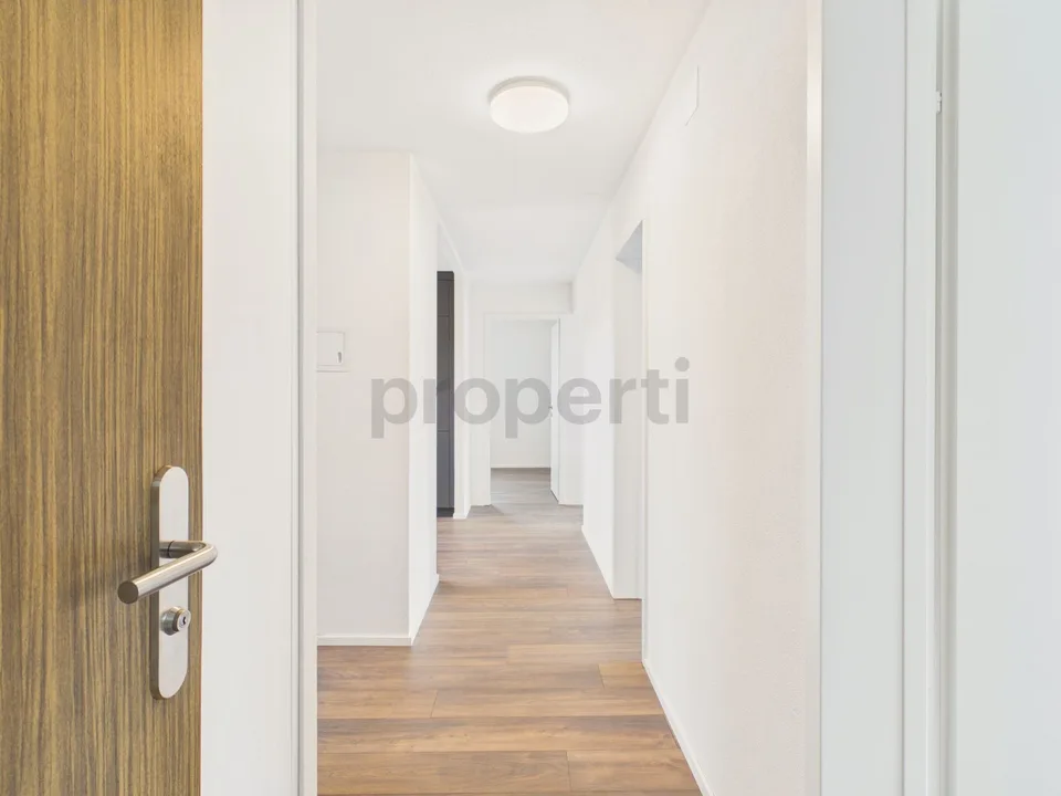 Einmalige Chance mit Seesicht: 4.5-Zimmer-Wohnung mit Potenzial in Nottwil