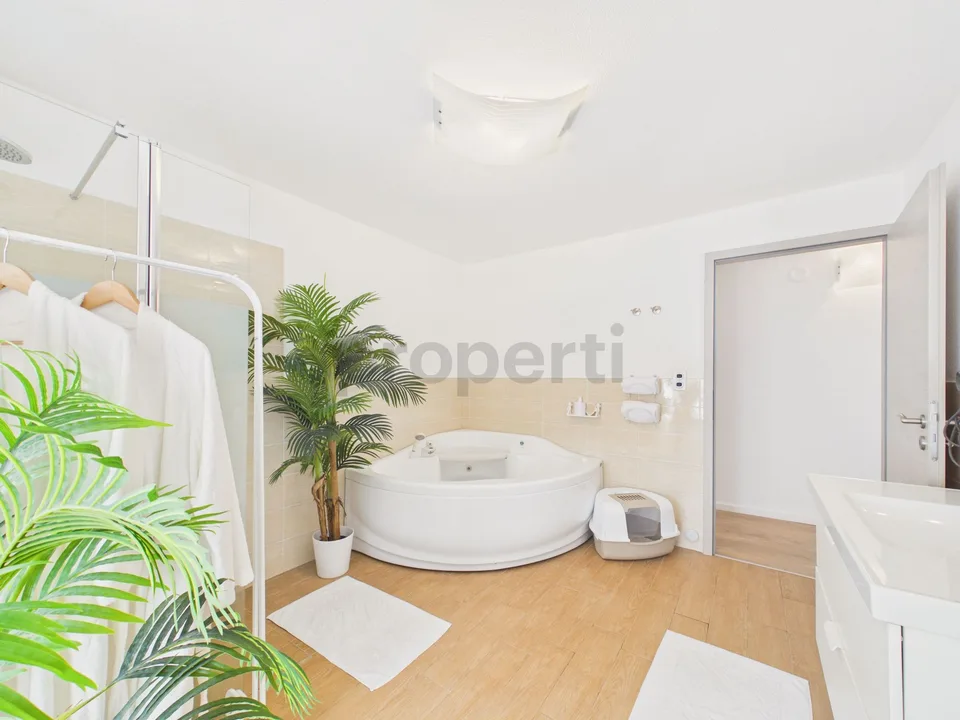 4.5 Room Villa with Pool in Roveredo GR