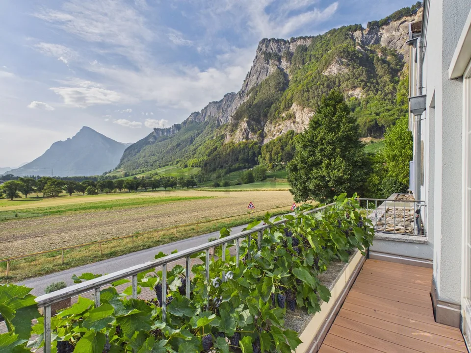 Appartement de rêve 4.5 pièces avec jardin d'hiver, terrasse et vue panoramique à Fläsch