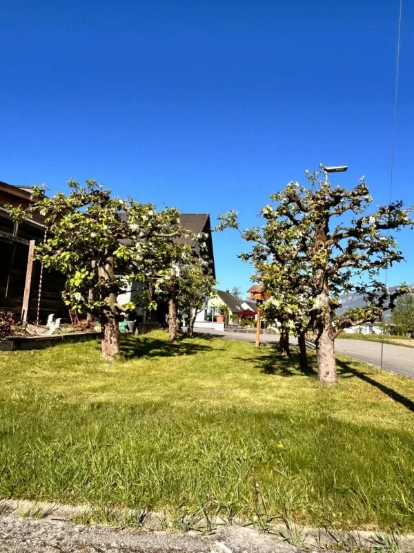 Vivere in paradiso su 860 m2
