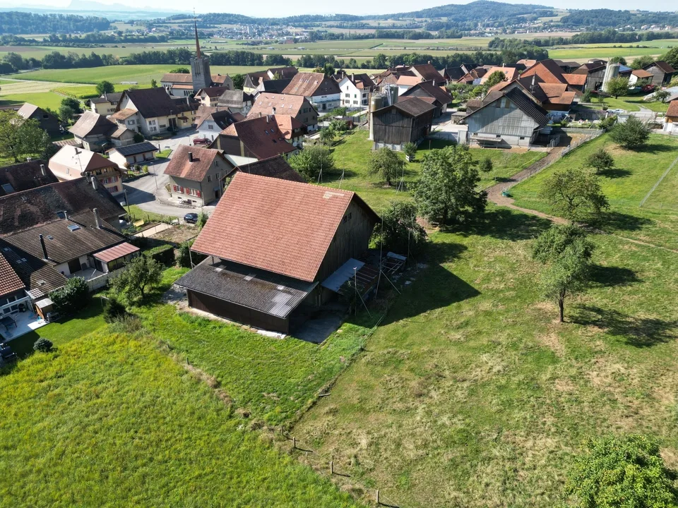 3,5-Zimmer-Wohnung mit Dachboden (C.5)
