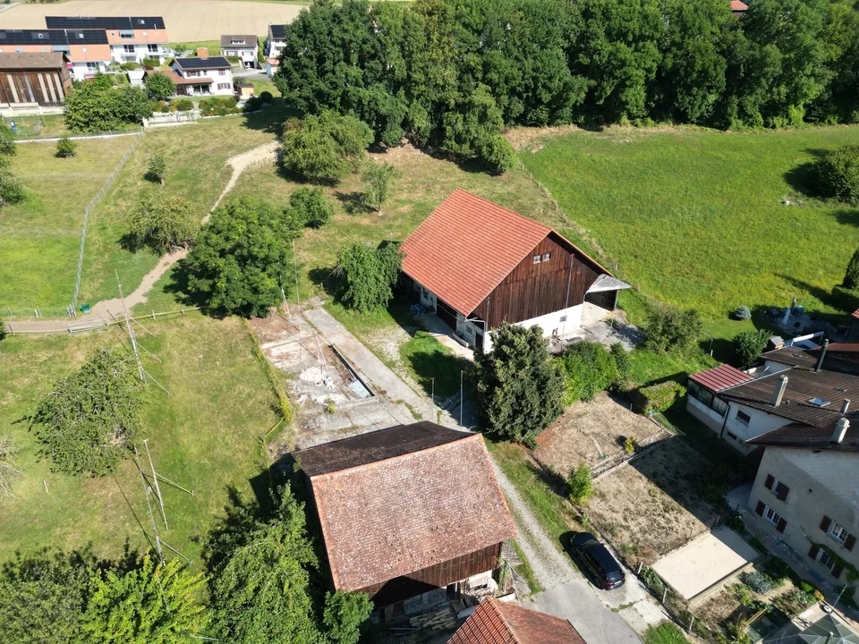 3,5-Zimmer-Wohnung mit Dachboden (C.5)