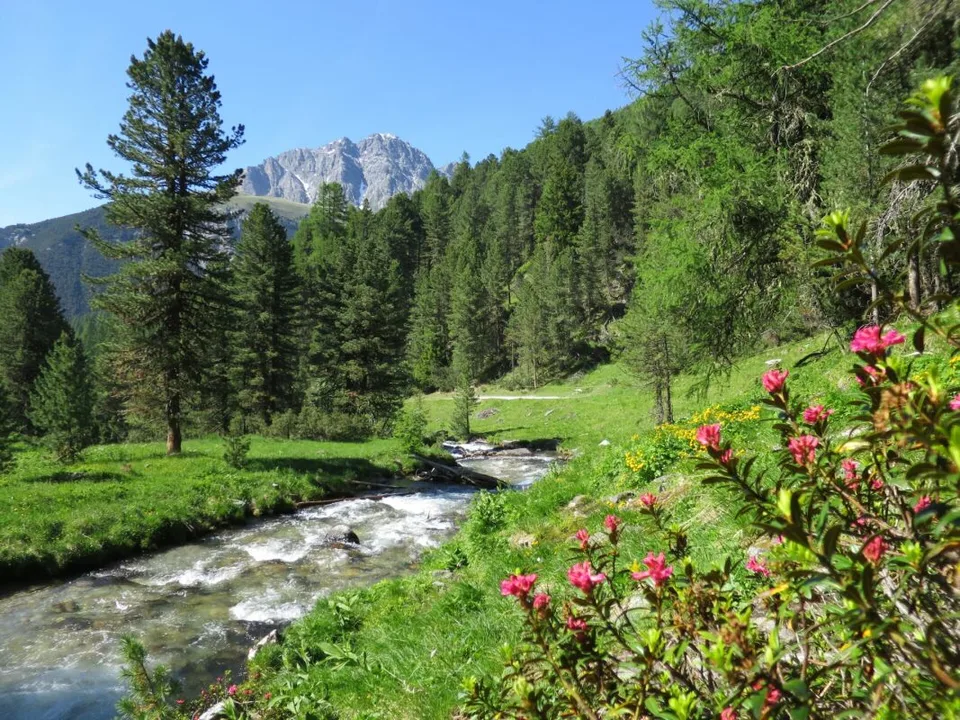 NEUBAU: Alpines Wohnen im Engadin - so, wie Sie es sich vorstellen