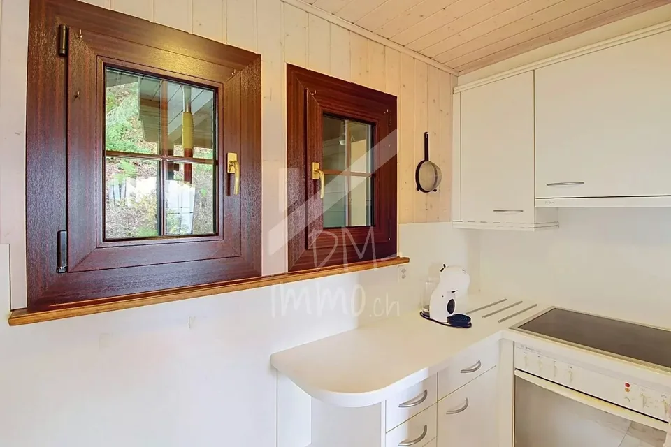 Blockhaus, Blick auf den Genfersee und die Berge - Verkauf an Ausländer OK