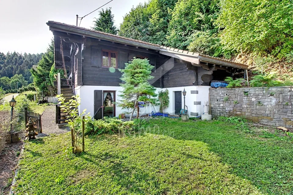 Blockhaus, Blick auf den Genfersee und die Berge - Verkauf an Ausländer OK